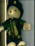 ARMY TED - Any Regiment